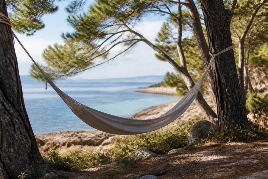 Hammocks