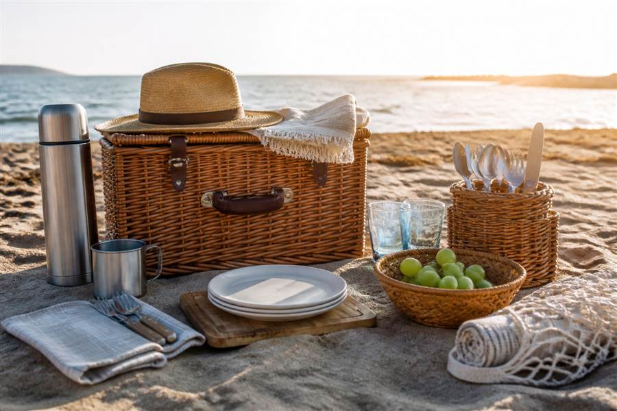 Picnic Kits